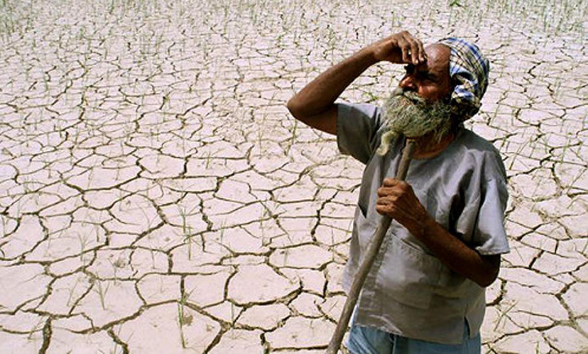 Wake- up call for Ceaseless Agrarian crisis